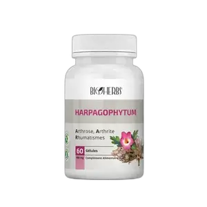 Bionuva Harpagophytum 900mg 60 Gelules
